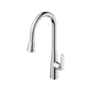 Aspirations Pull-Down Kitchen Faucet
